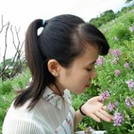Lê Hiếu