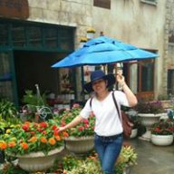linhtran