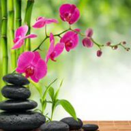 cuongdh0611