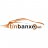 tinbanxe