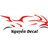 Nguyendecal12345
